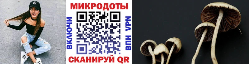Галлюциногенные грибы ЛСД  Карабулак 